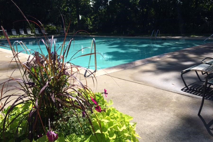 a swimming pool with a chair and plants next to it