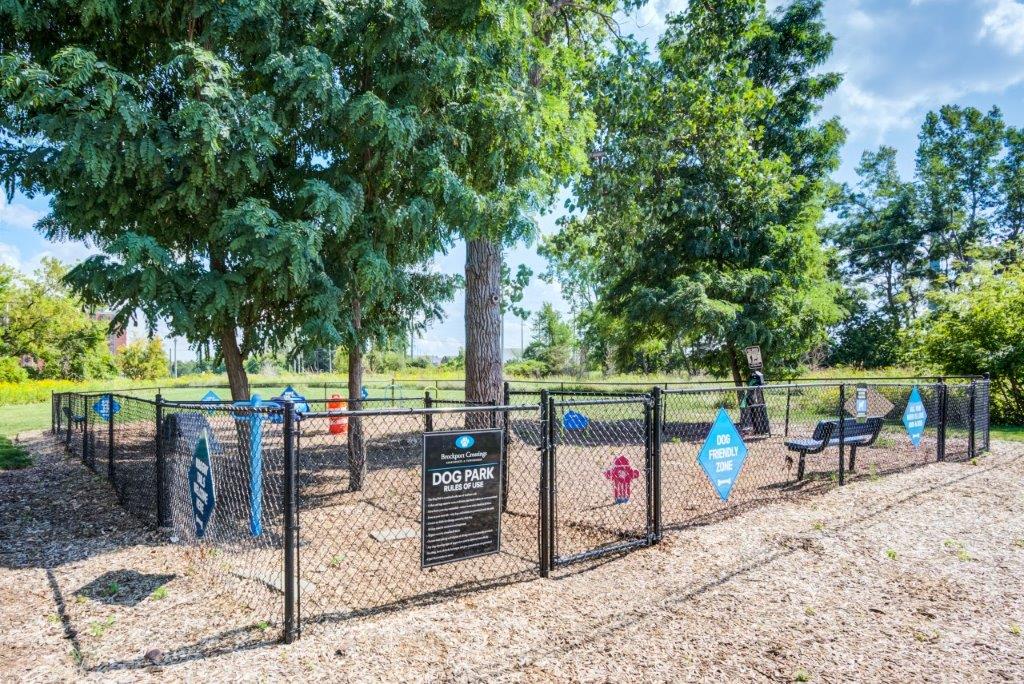 Fenced dog park with agility equipment