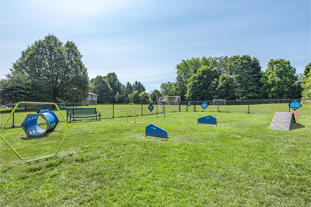 Fenced dog park with agility equipment