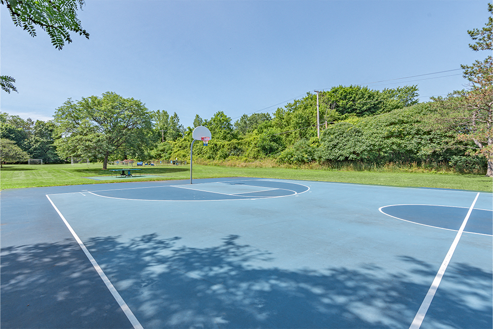 basketball court surrounded by grass and trees