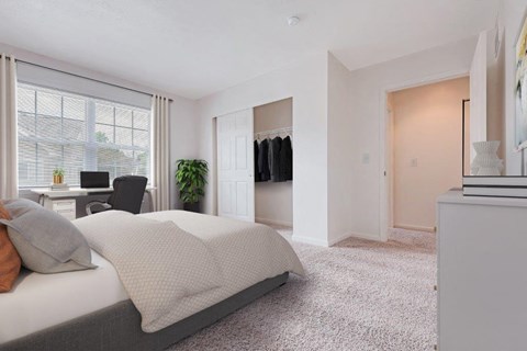 a bedroom with a bed and a closet