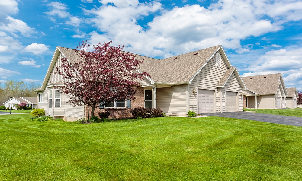 a house with a flowering tree in front of it