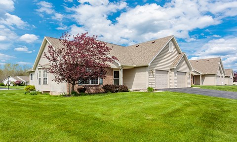 a house with a flowering tree in front of it