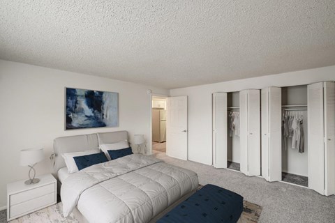 a bedroom with a bed and a closet