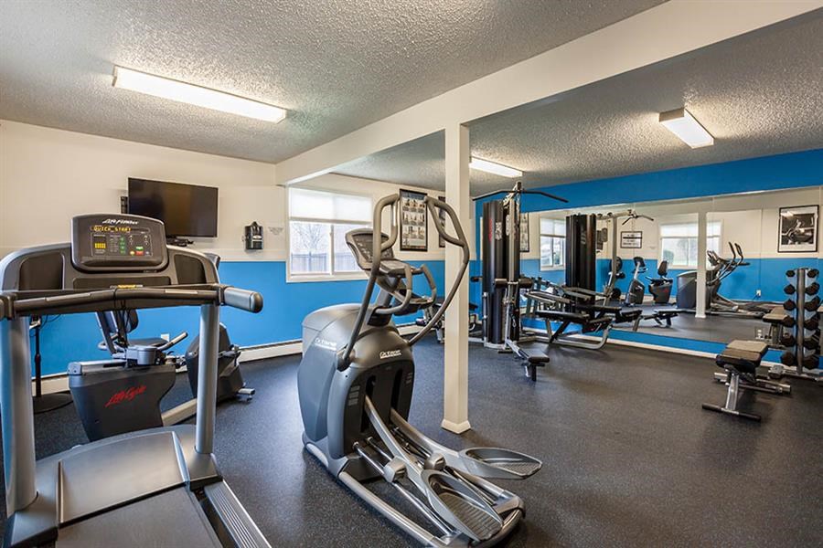 our gym is equipped with a variety of cardio equipment and weights