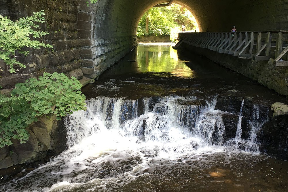 Oak Hill Terrace Apartment Homes, 2470 East Ave, Rochester, NY RentCafe