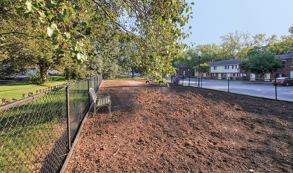 Fenced dog park
