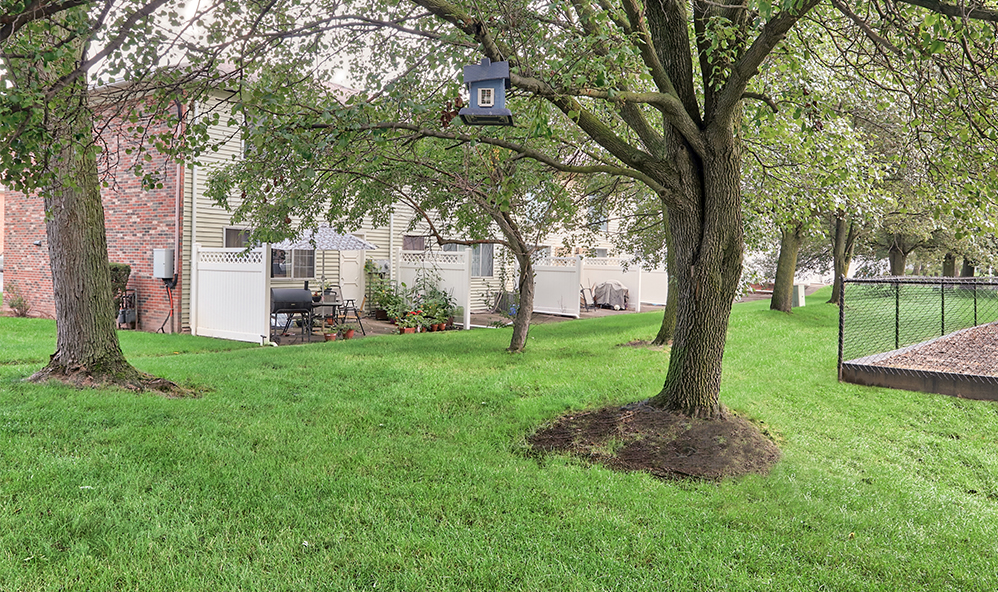 exterior area with grass and trees