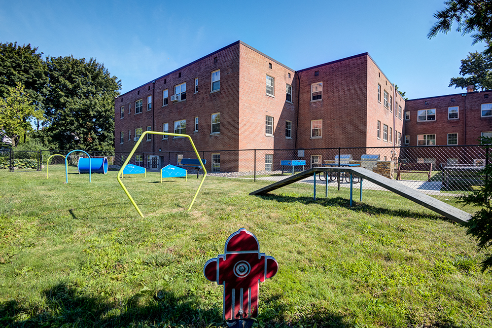 Fenced dog park with agility equipment