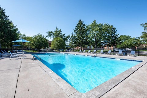 A large swimming pool surrounded by trees and lounge chairs.