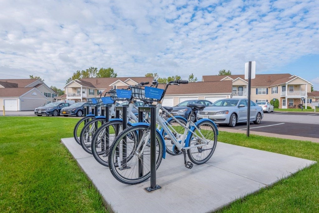 a row of bikes parked on a sidewalk in a parking lot