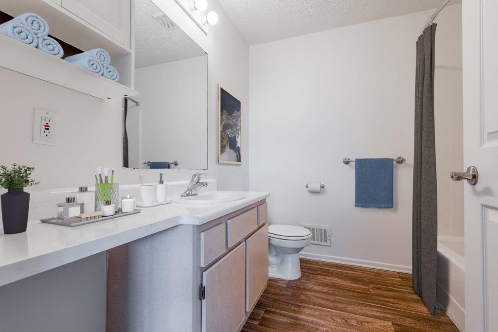 a bathroom with a toilet and a sink and a mirror