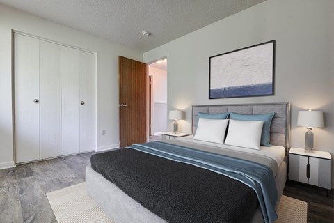 a bedroom with a bed and a closet
