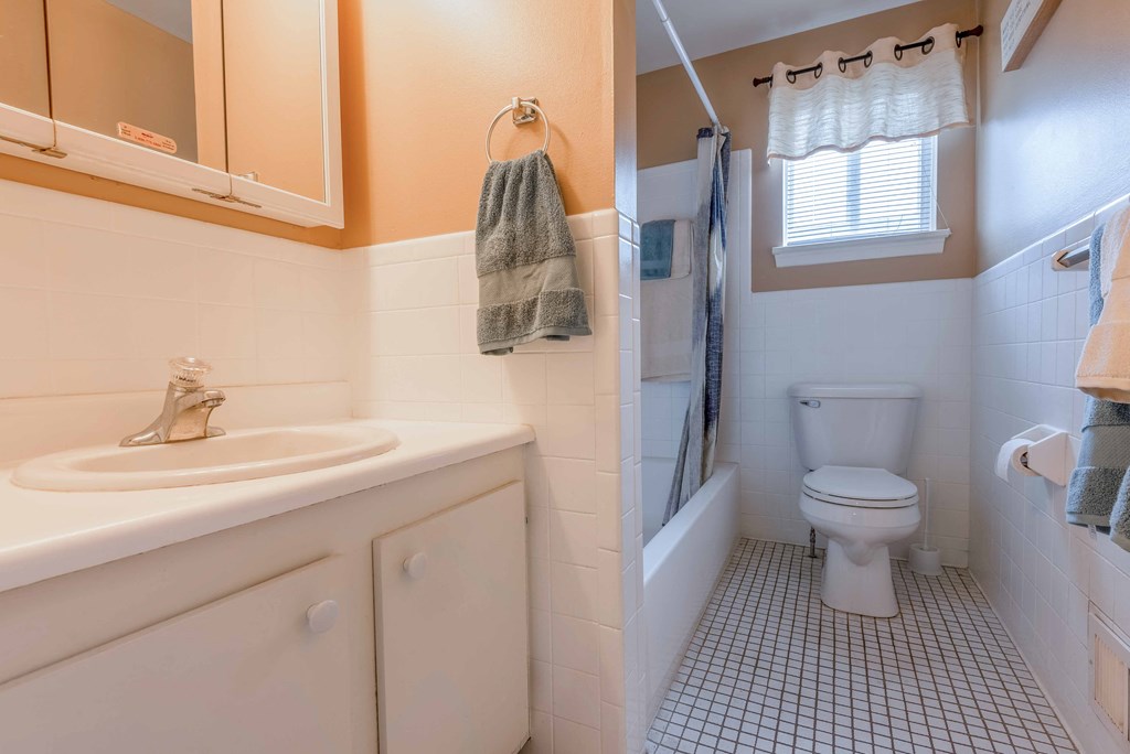 a bathroom with a toilet and a sink