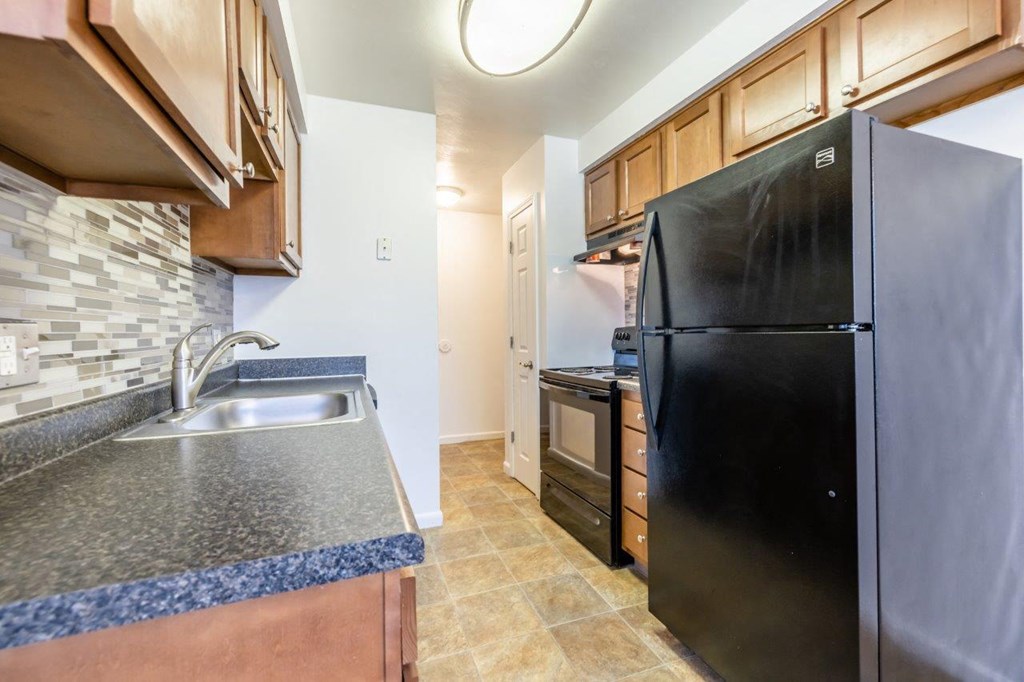 a kitchen with a black refrigerator and a sink