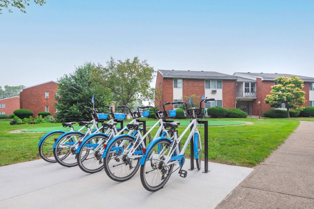a row of bikes parked in front of a building