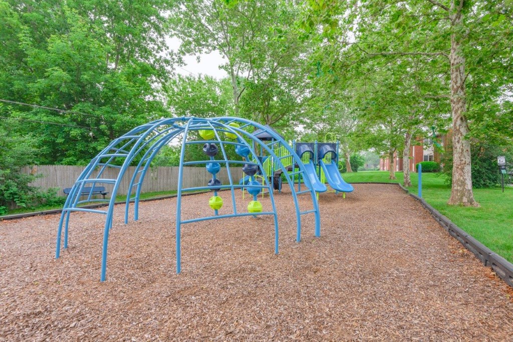 a playground with a blue swing set   and trees