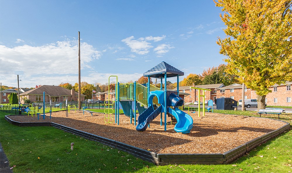a playground at a park with a blue slide