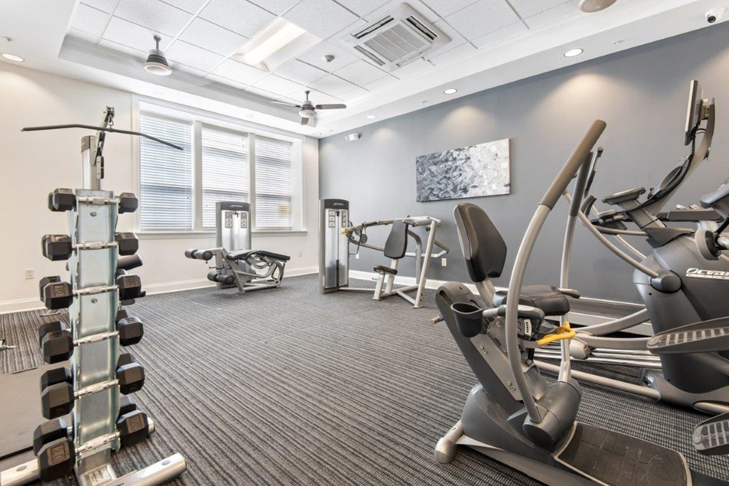 our gym is equipped with a variety of exercise equipment