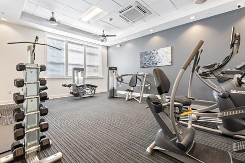our gym is equipped with a variety of exercise equipment