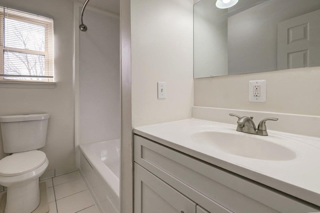 a bathroom with a sink and a toilet