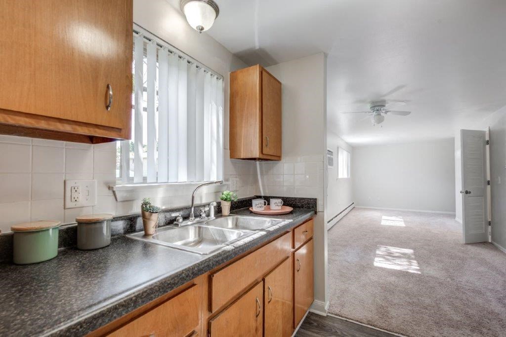 a kitchen with a sink and a window