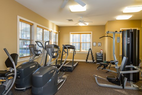 A gym with treadmills, elliptical machines, and other exercise equipment.