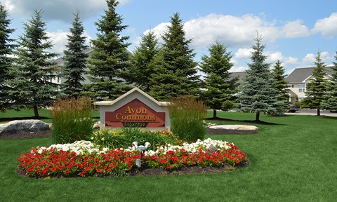 A sign that says Avon Commons in front of some trees.
