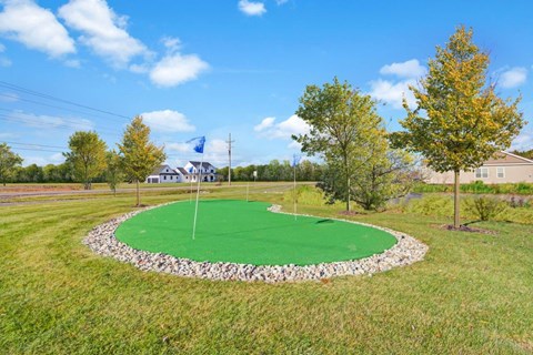 A green putting green in the middle of a grassy area.