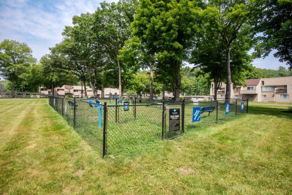 Fenced dog park with agility equipment