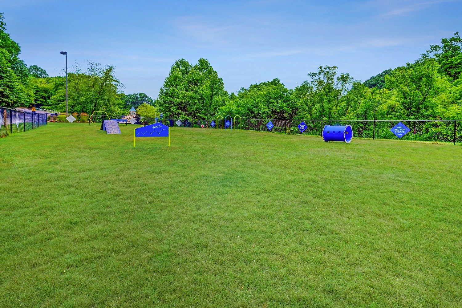 a large grassy field with blue and yellow targets on it