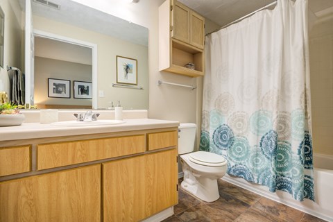 a bathroom with a shower curtain next to a toilet and a sink