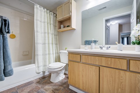 a bathroom with a toilet sink and shower and a mirror