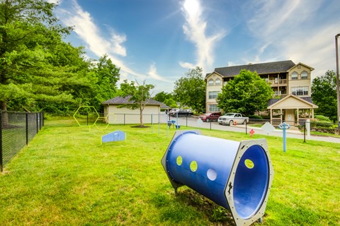 a playground with a blue cone in the grass