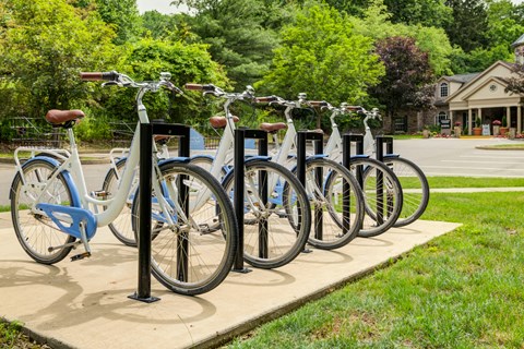 a row of bikes parked at a bike rack