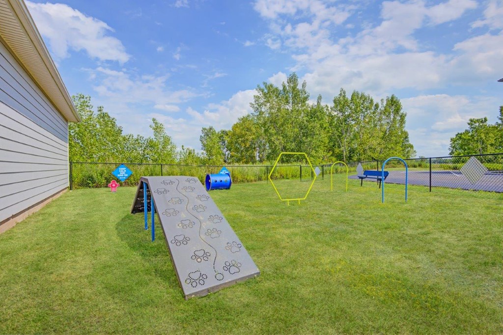 the back yard has a playground and a picnic table