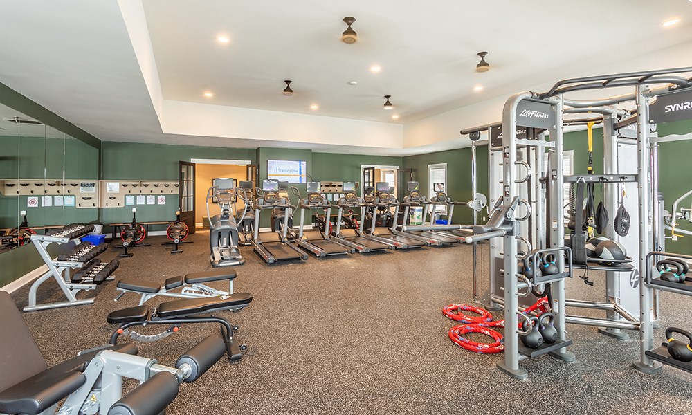 a gym with cardio equipment and weights in a room with green walls