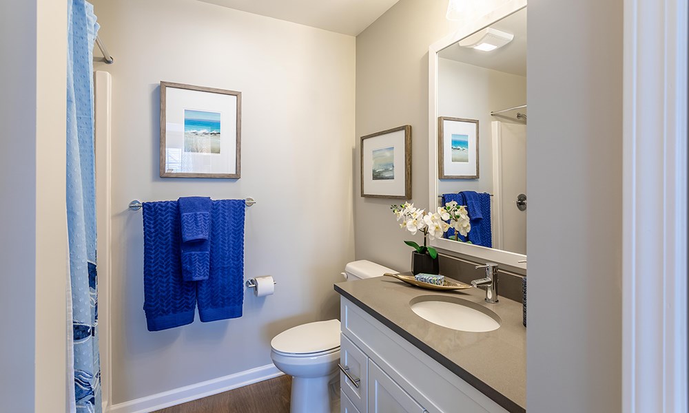 a bathroom with a toilet and a sink and a mirror
