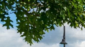 Gated Community | Houston Apartments For Rent | Cambria Cove