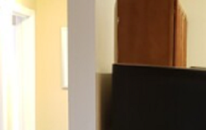 651 Schiller St. #104 2 Beds Apartment for Rent - Photo Gallery 3