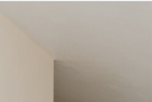 651 Schiller St. #104 2 Beds Apartment for Rent - Photo Gallery 4