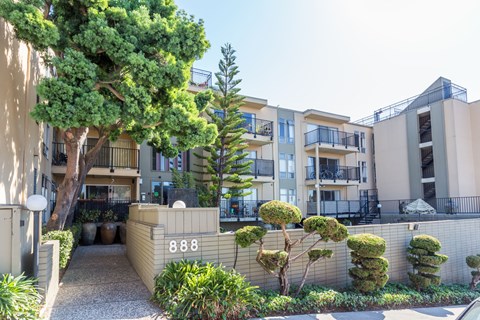 A building with the number 888 on it is surrounded by greenery.