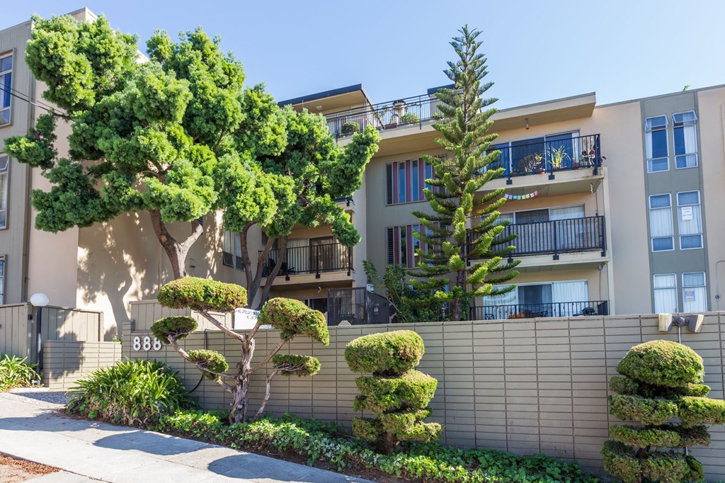 A tree with green leaves is in front of a building with balconies.