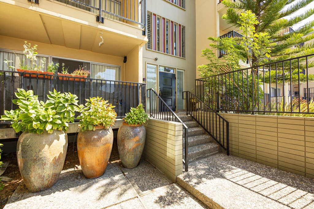Three large pots with green plants in front of a building.