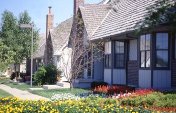 10925 Hauser Street 1-3 Beds Townhouse for Rent - Photo Gallery 24