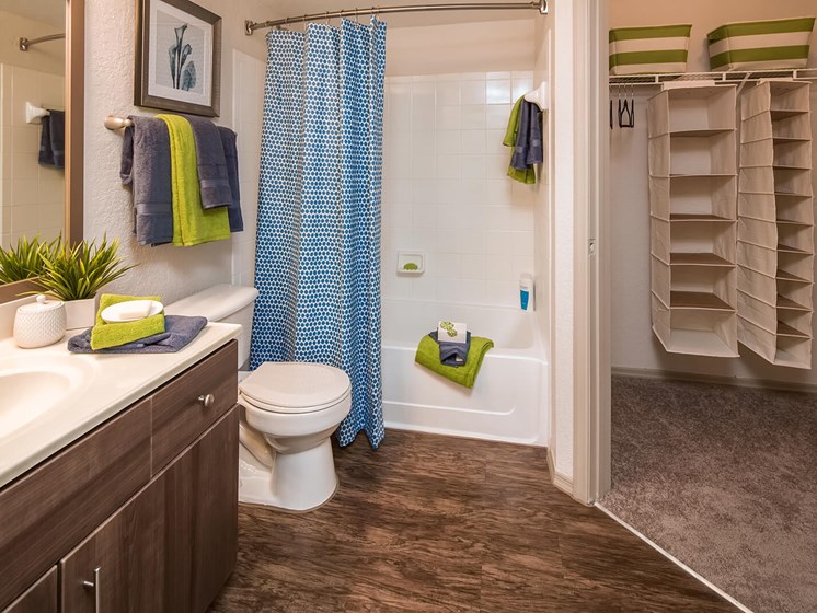 Master Bath & Walk-in Closet at The Terraces at Lake Mary, Florida, 32746