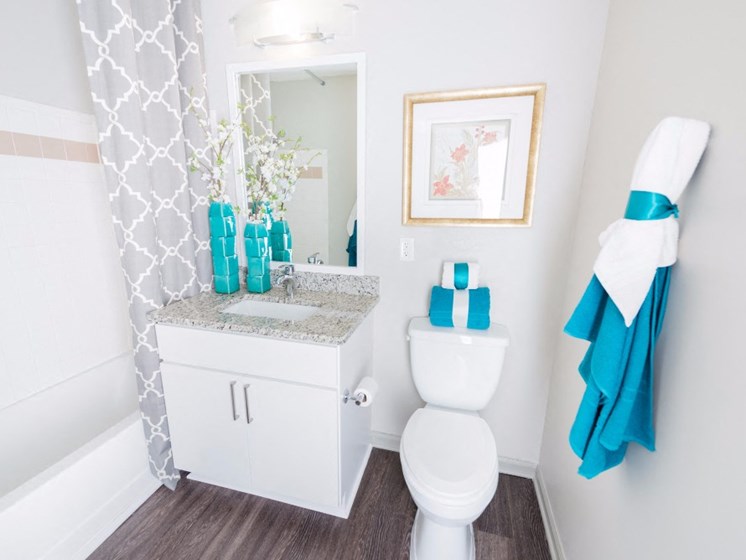 Upgraded Bathroom at Uptown Buckhead, Georgia, 30342