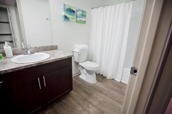 Bathroom Picture