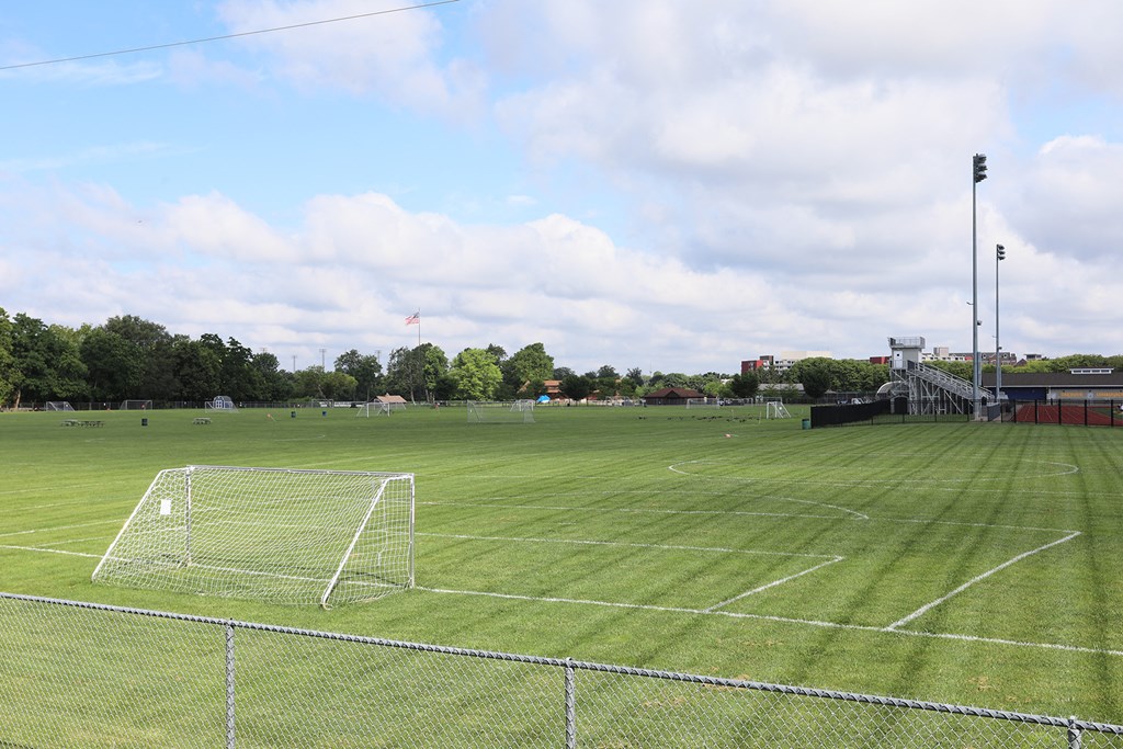 a soccer field with a soccer goal on it