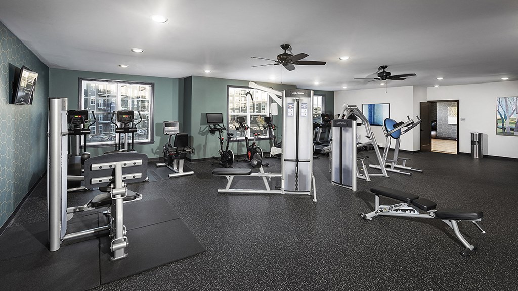 a gym with a lot of weights and cardio equipment in a building